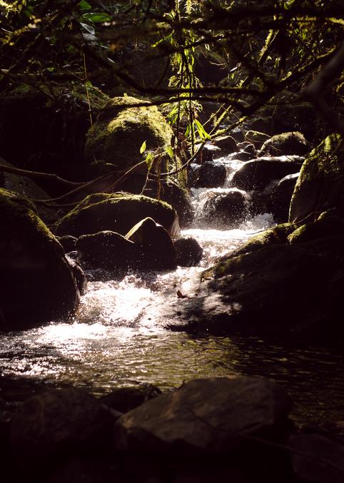 Parati-Mirim river (probably) - Rio de Janeiro, Brasil